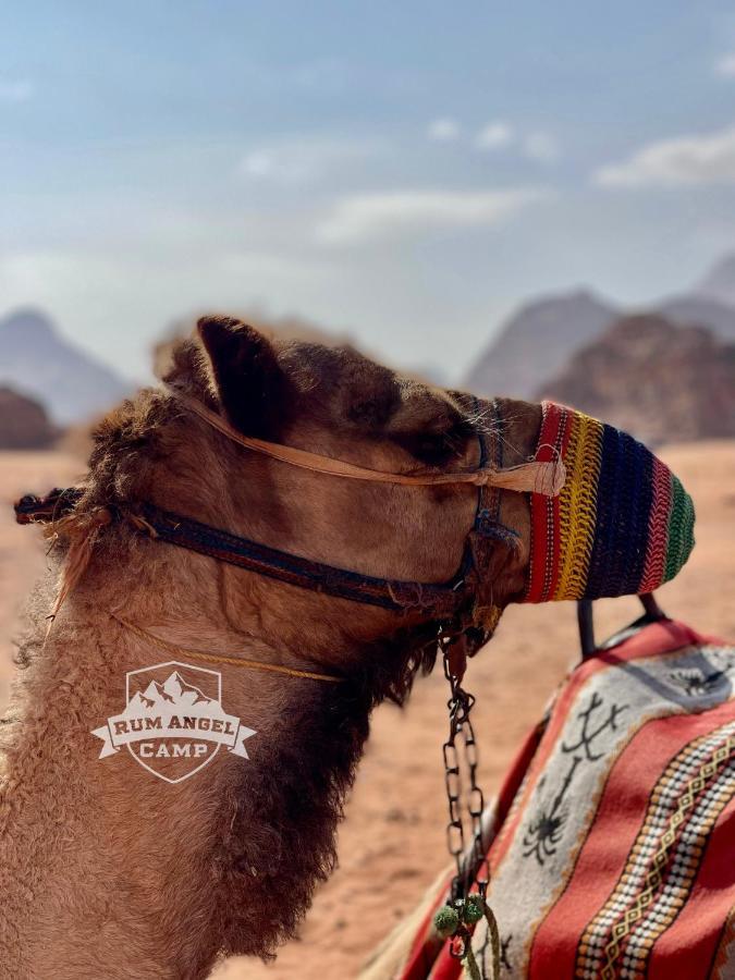 Rum Angel Camp Wadi Rum Exterior photo